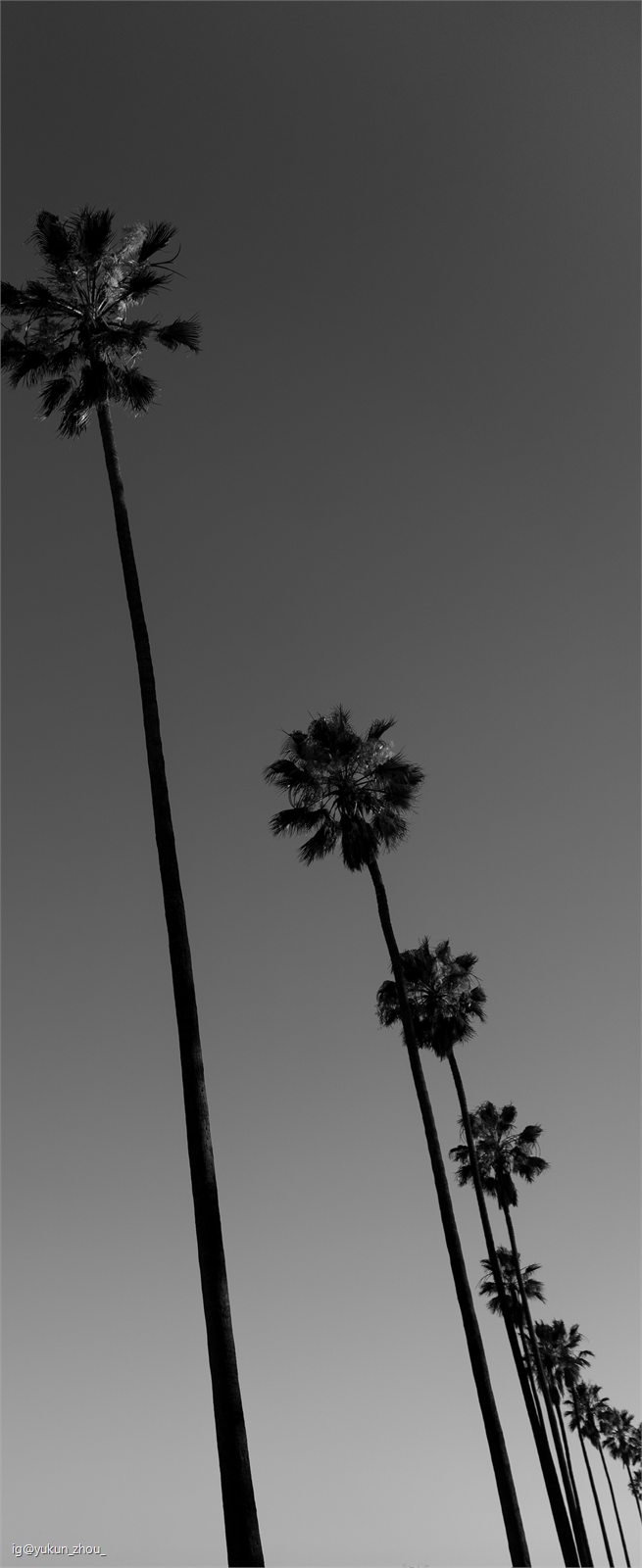Photography by Yukun Zhou