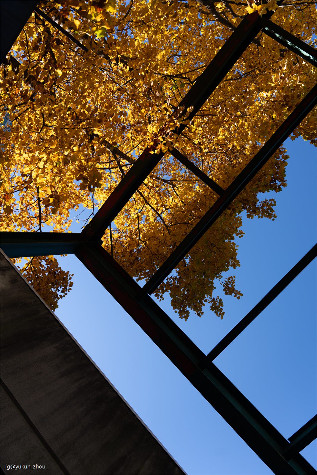 Photography by Yukun Zhou