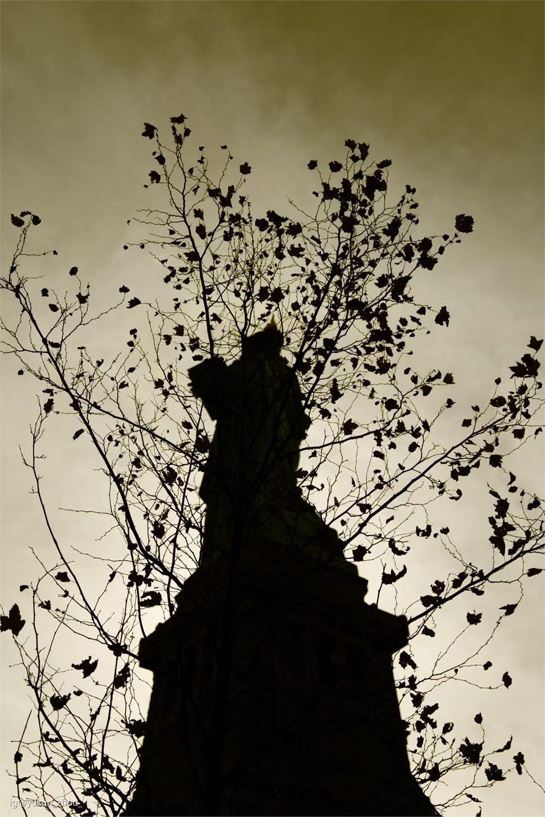 Photography by Yukun Zhou