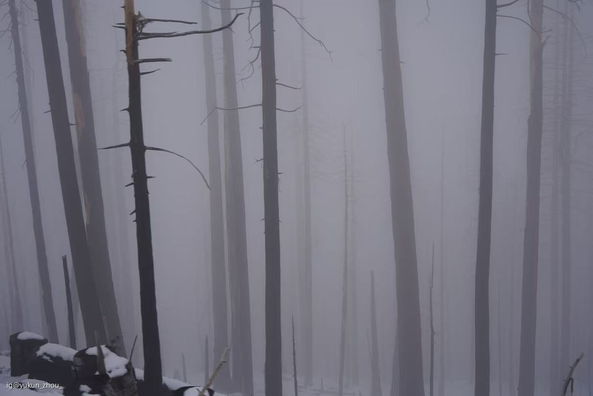 Photography by Yukun Zhou