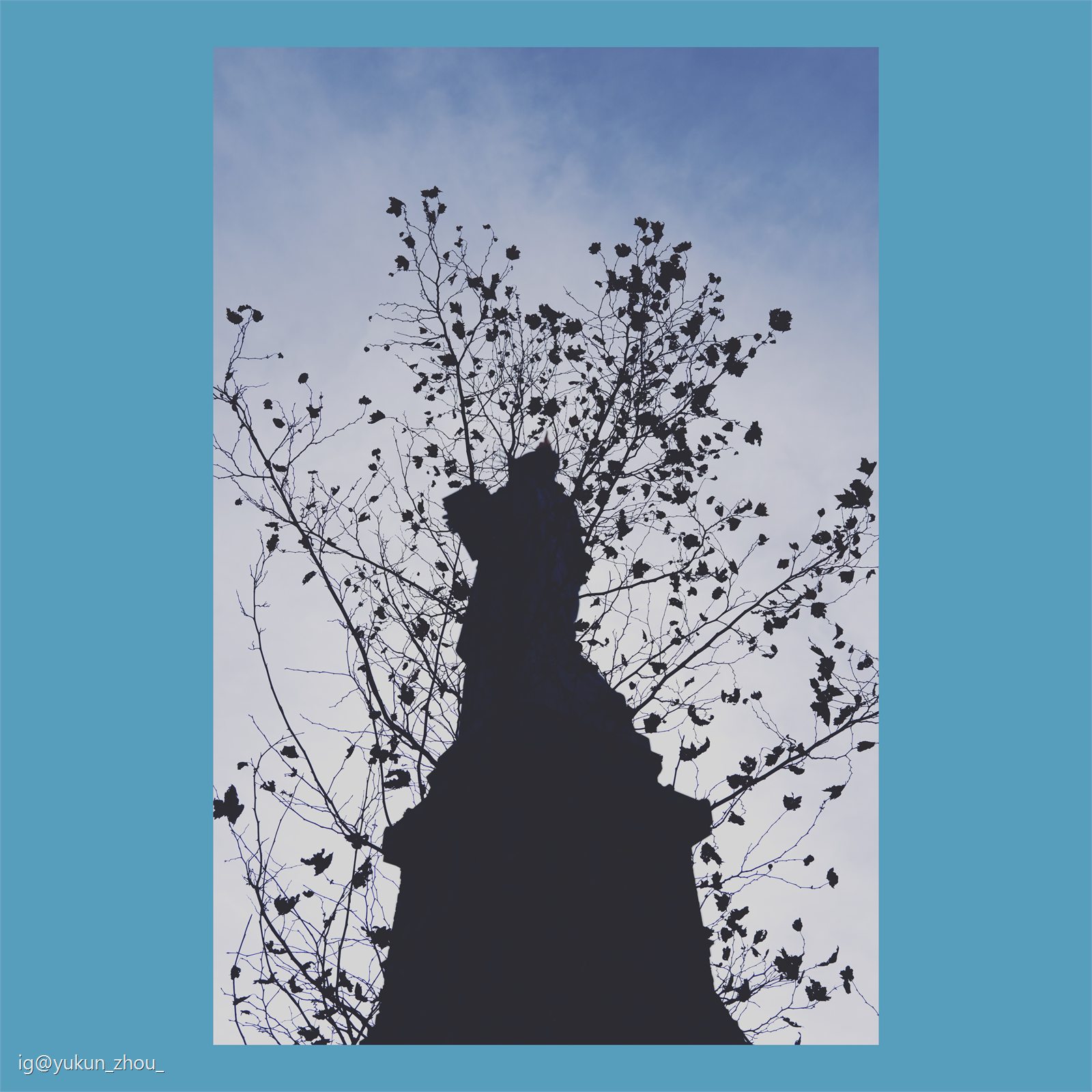 Photography by Yukun Zhou
